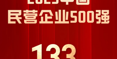 泰豐盛合控股集團(tuán)連續(xù)四年入圍中國(guó)民營(yíng)企業(yè)500強(qiáng)榜單，躍居第133位！
