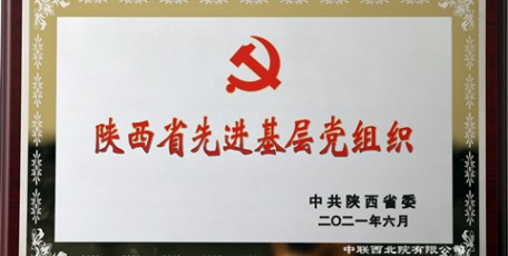 中聯(lián)西北院黨委榮膺陜西省先進(jìn)基層黨組織榮譽(yù)稱號(hào)