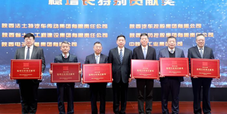 陜藥集團榮獲陜西國資系統(tǒng)“穩(wěn)增長特別貢獻獎”