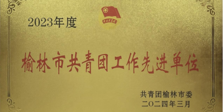 陜建九建集團團委獲評2023年度 “榆林市共青團工作先進單位”