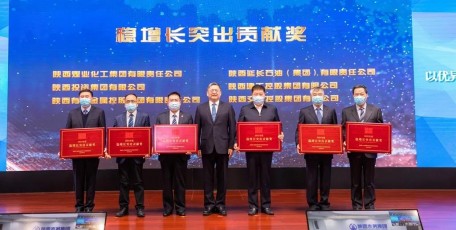 陜西有色金屬集團榮獲省國資委“穩(wěn)增長突出貢獻獎”