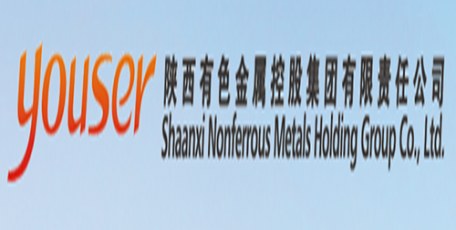 陜西有色金屬集團(tuán)獲評(píng)2020年度省屬企業(yè)目標(biāo)責(zé)任綜合考核A級(jí)企業(yè)