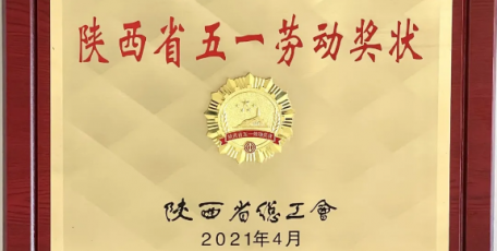 今日聚焦 | 中聯(lián)西北院榮獲陜西省五一勞動獎狀