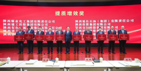 陜藥集團(tuán)榮獲陜西國資系統(tǒng)“提質(zhì)增效獎”